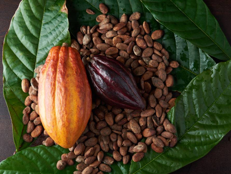 cacao