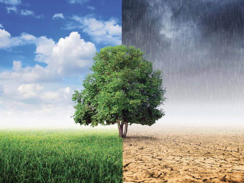 esg e cigno verde del cambiamento climatico, il ruolo dei cda delle aziende