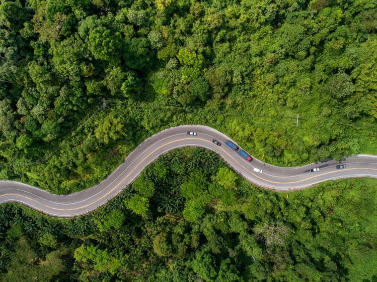 strada lunga e tortuosa coronavirus ripresa