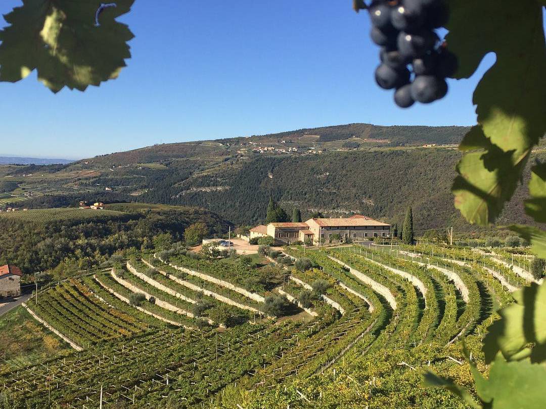 Valpolicella, Tenuta Santa Maria Valverde