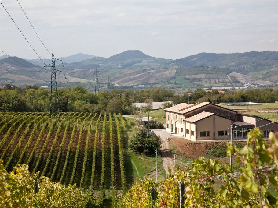 Monte delle Vigne