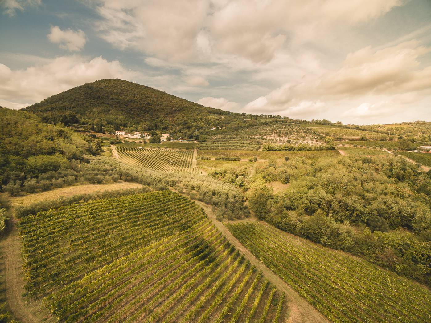Colli Euganei