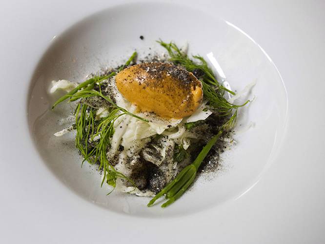 Chiajozza: canocchie crude, gelato di riccio di mare, olio al pino marittimo, cavolo cappuccio