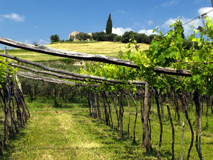 Cantina Valpatena
