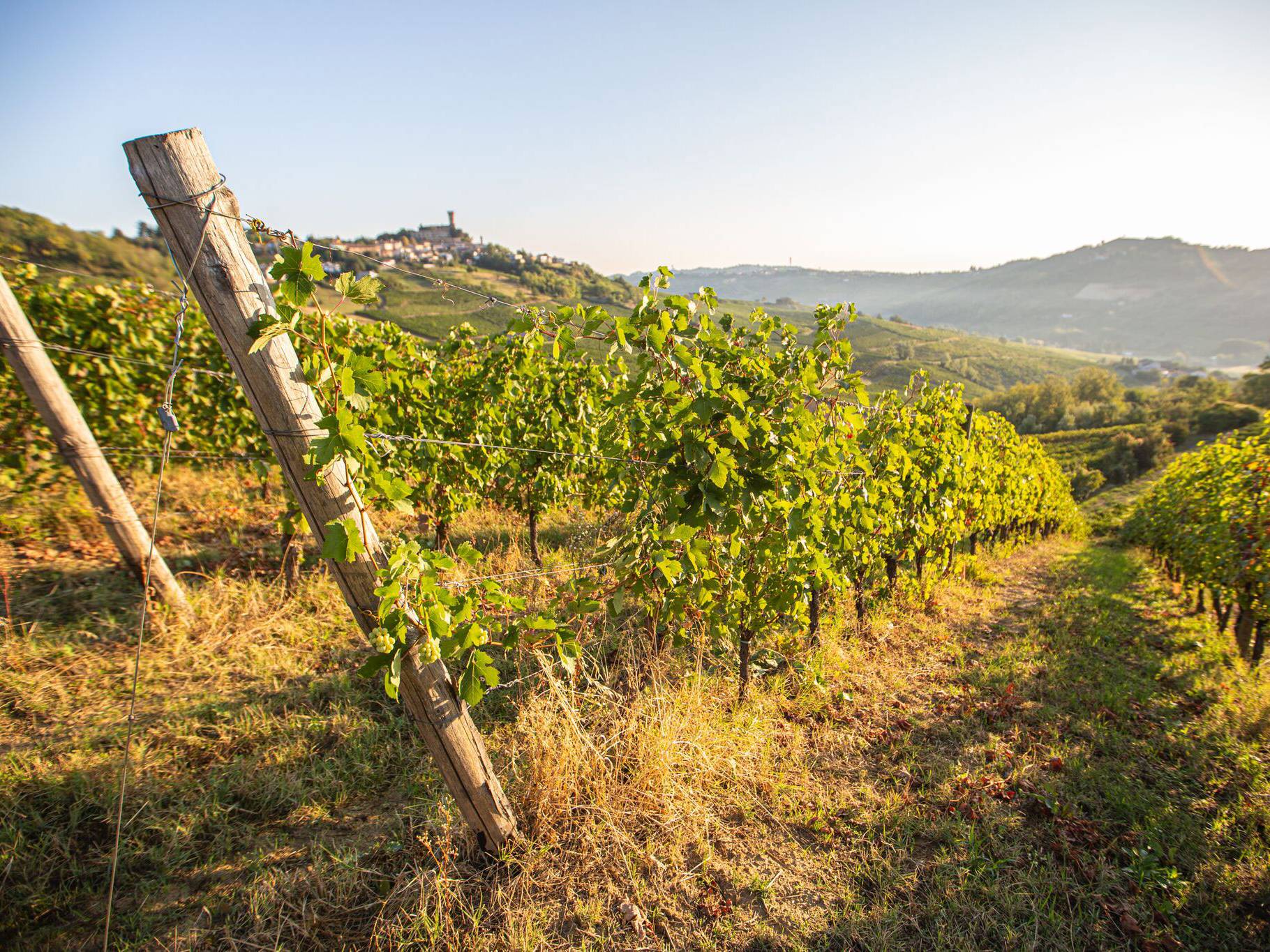 Castello di Cigognola