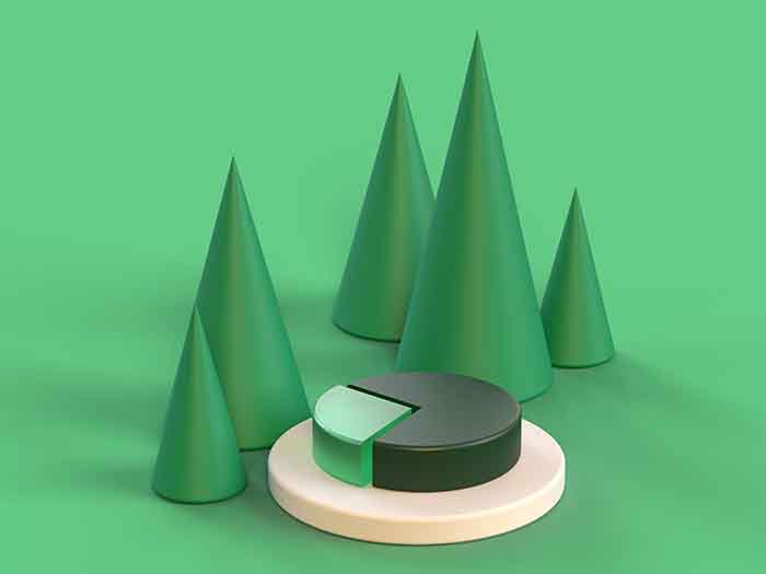 small cap
