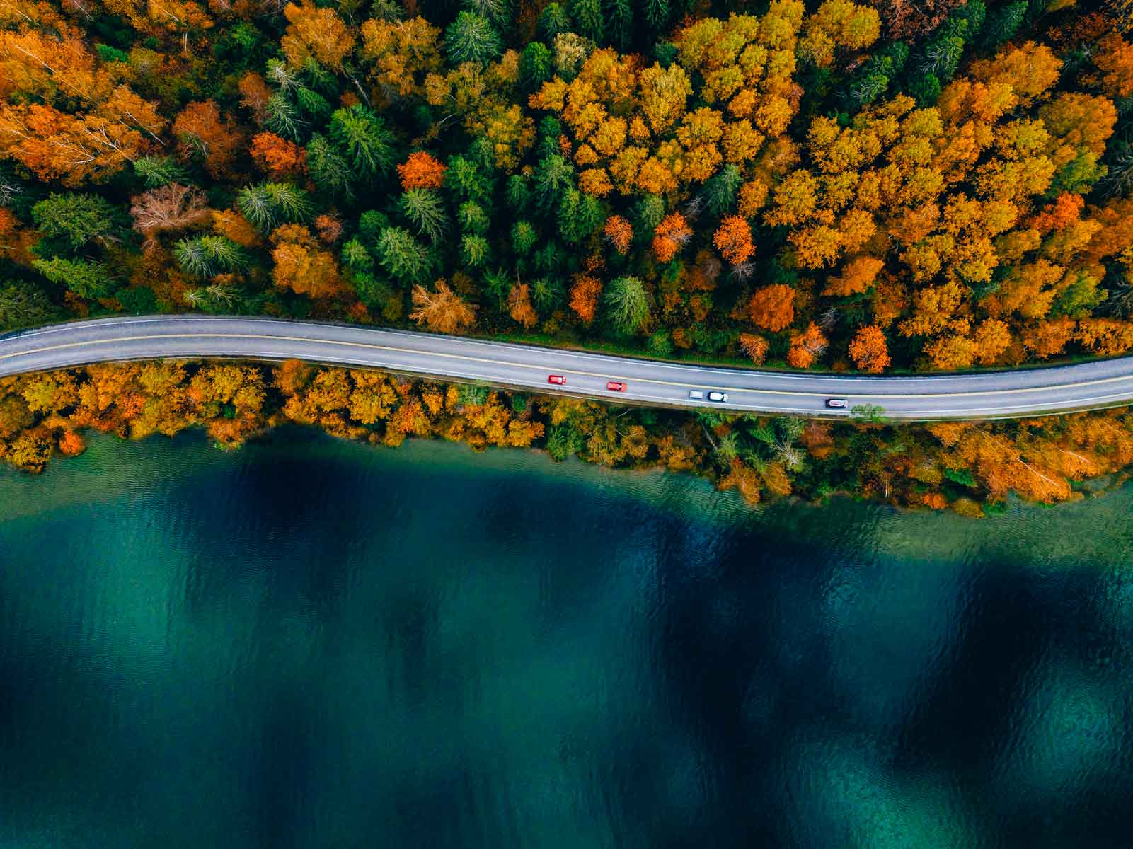 autunno, mercati