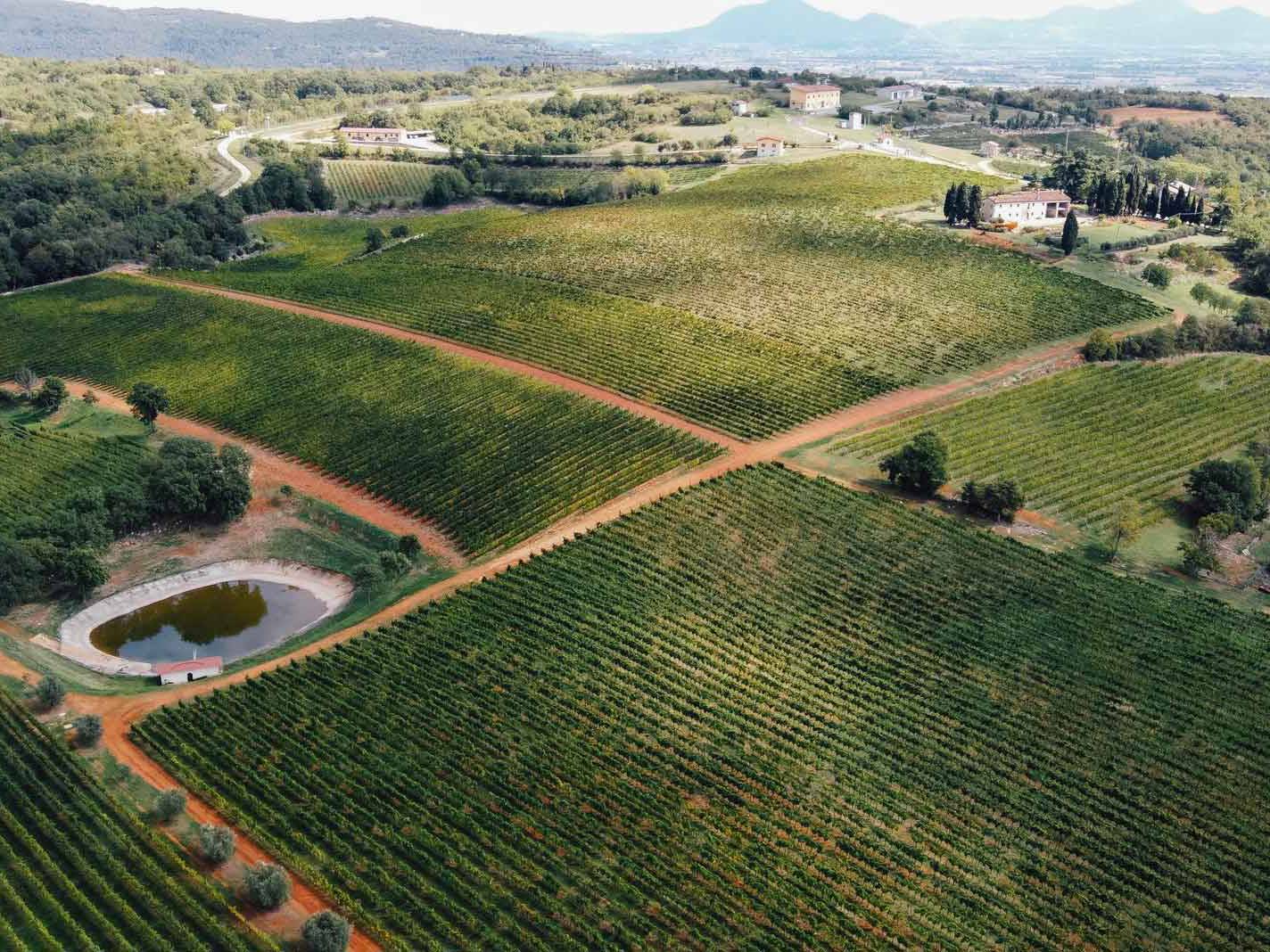 Cavazza Creari